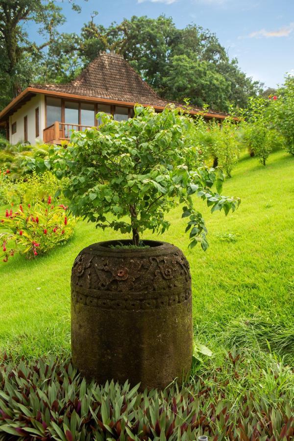 Hotel La Coralina Island House Bocas del Toro Zewnętrze zdjęcie