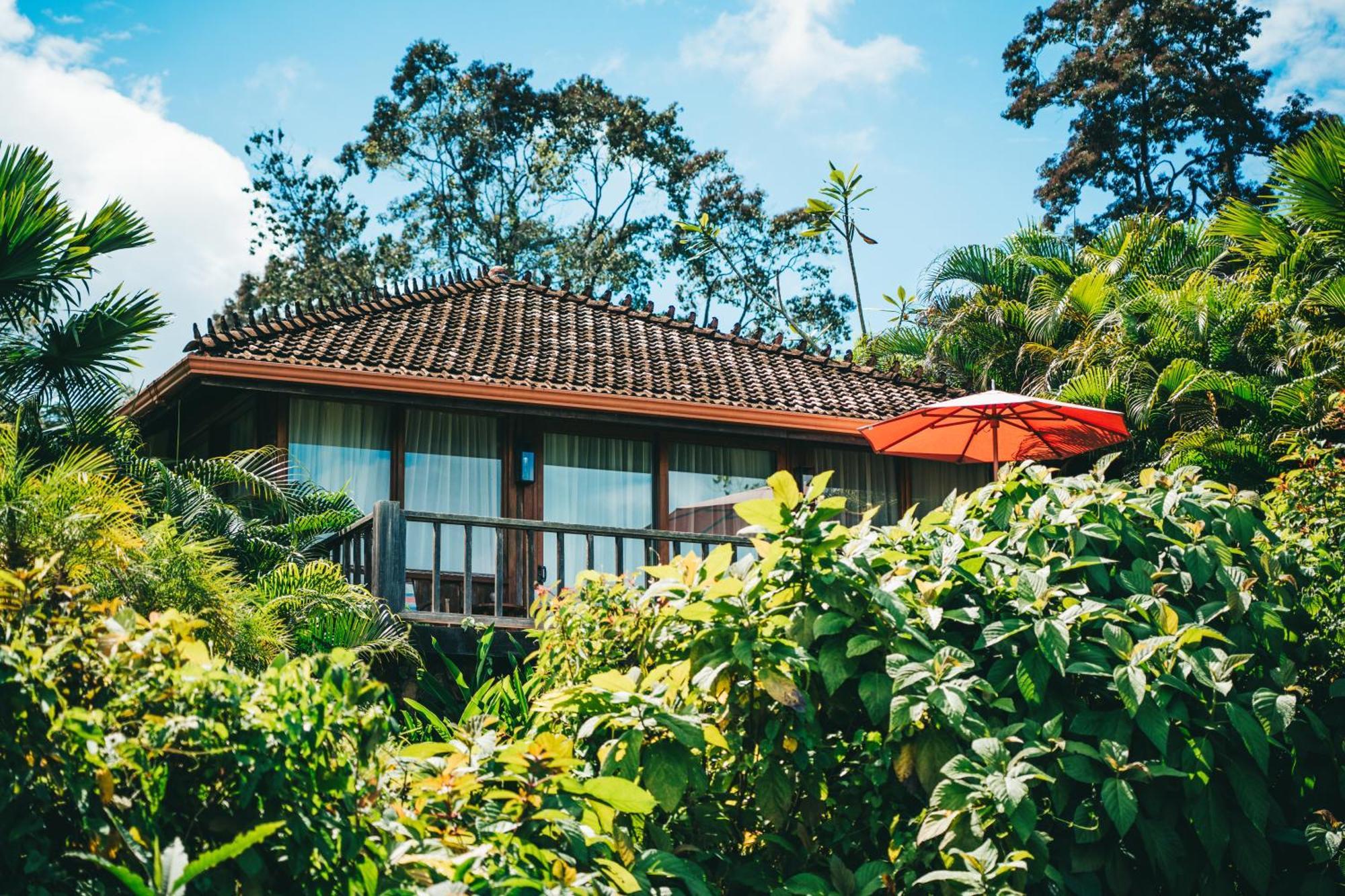 Hotel La Coralina Island House Bocas del Toro Zewnętrze zdjęcie
